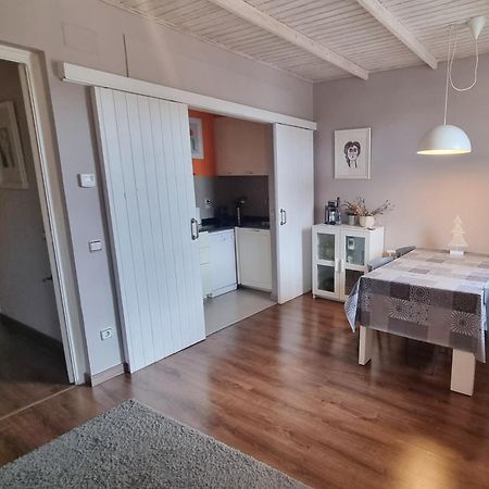 Apartment Sant Francesc Olot Extérieur photo