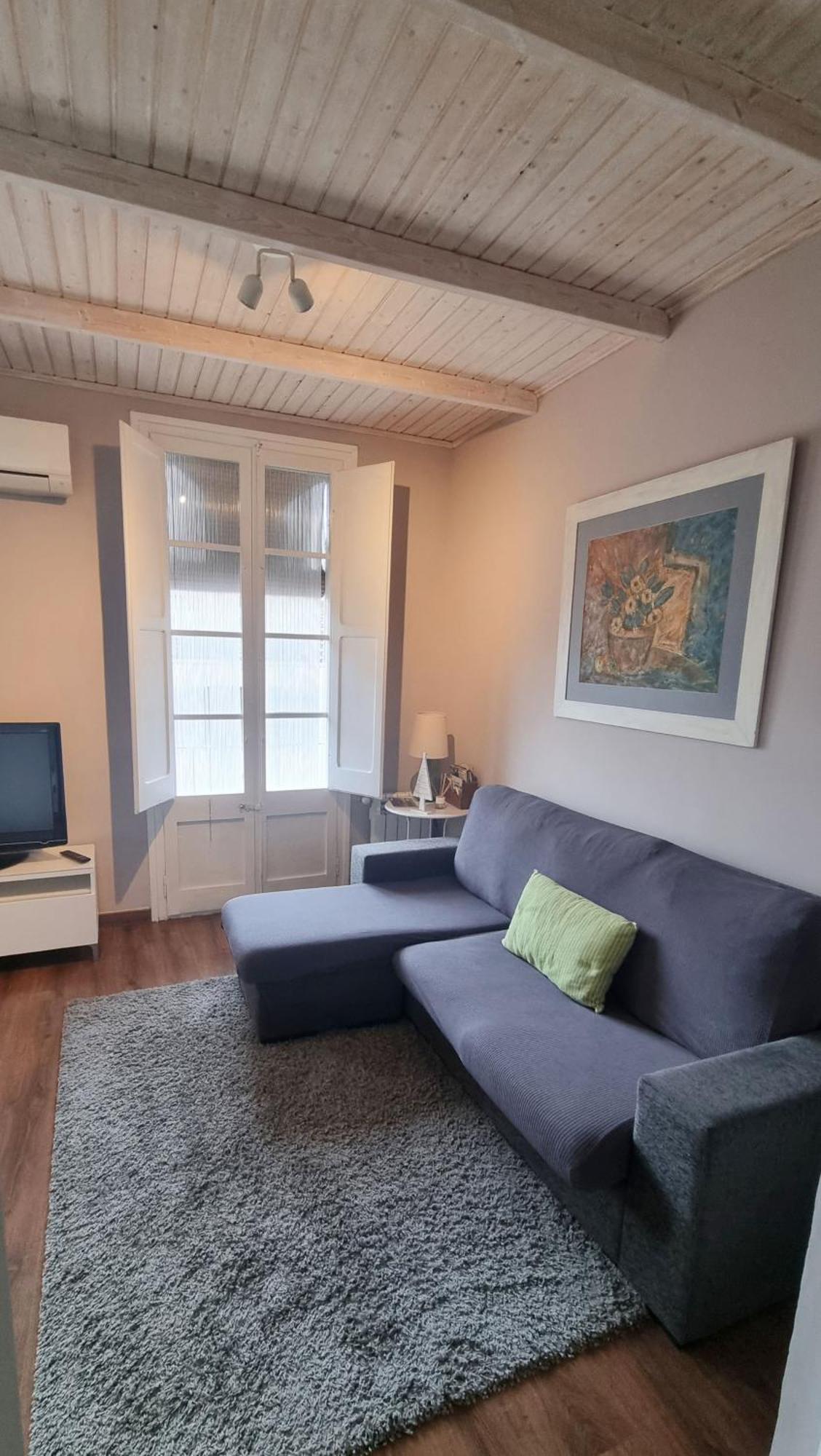 Apartment Sant Francesc Olot Extérieur photo