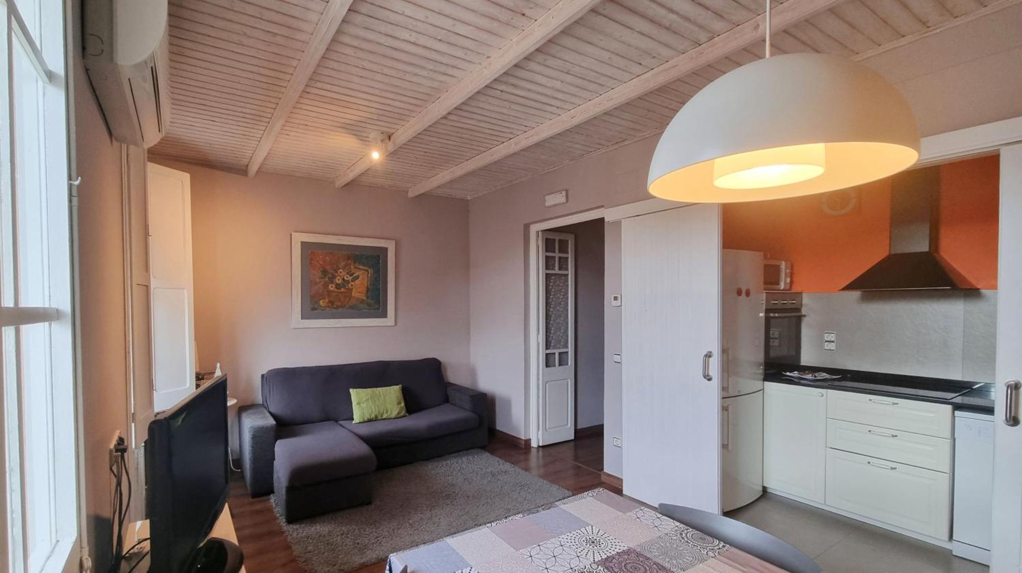 Apartment Sant Francesc Olot Extérieur photo