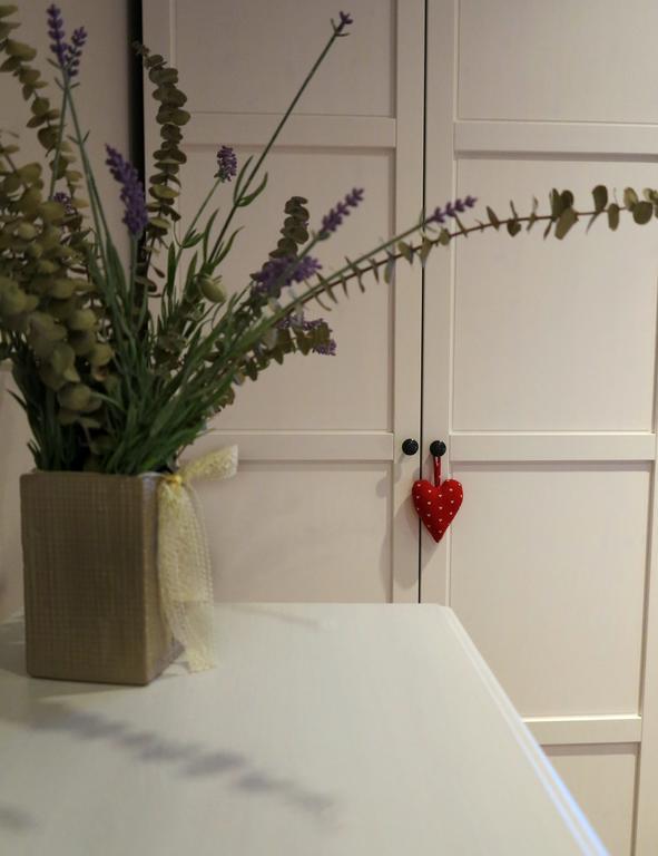 Apartment Sant Francesc Olot Extérieur photo